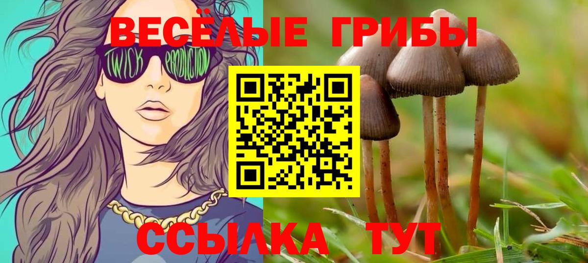 Псилоцибиновые грибы GOLDEN TEACHER Каменка