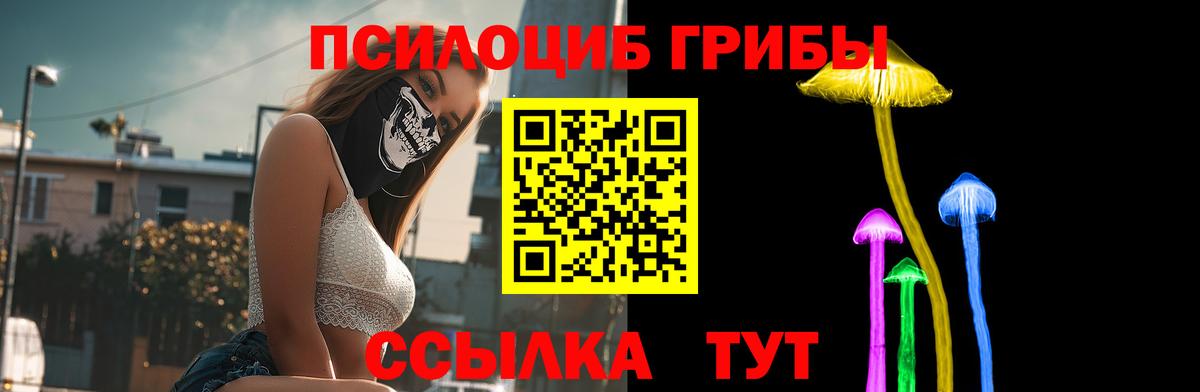Псилоцибиновые грибы GOLDEN TEACHER  Галлюциногенные грибы GOLDEN TEACHER  Вход с VPN  Каменка 